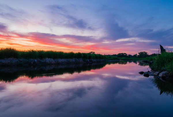 a lake reflecting grass with sunset