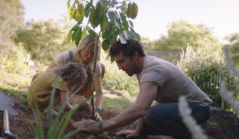 A man, woman and child planting a plant in some soil.