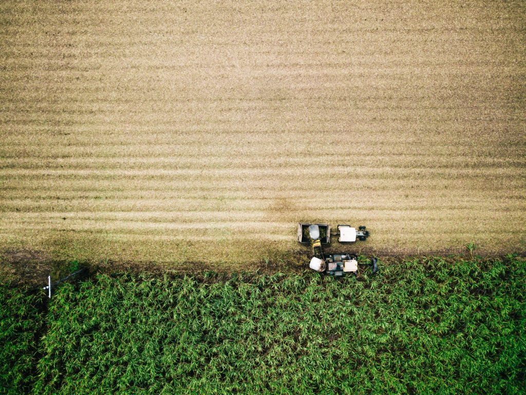 A birds eye view of two tractors collecting crops.