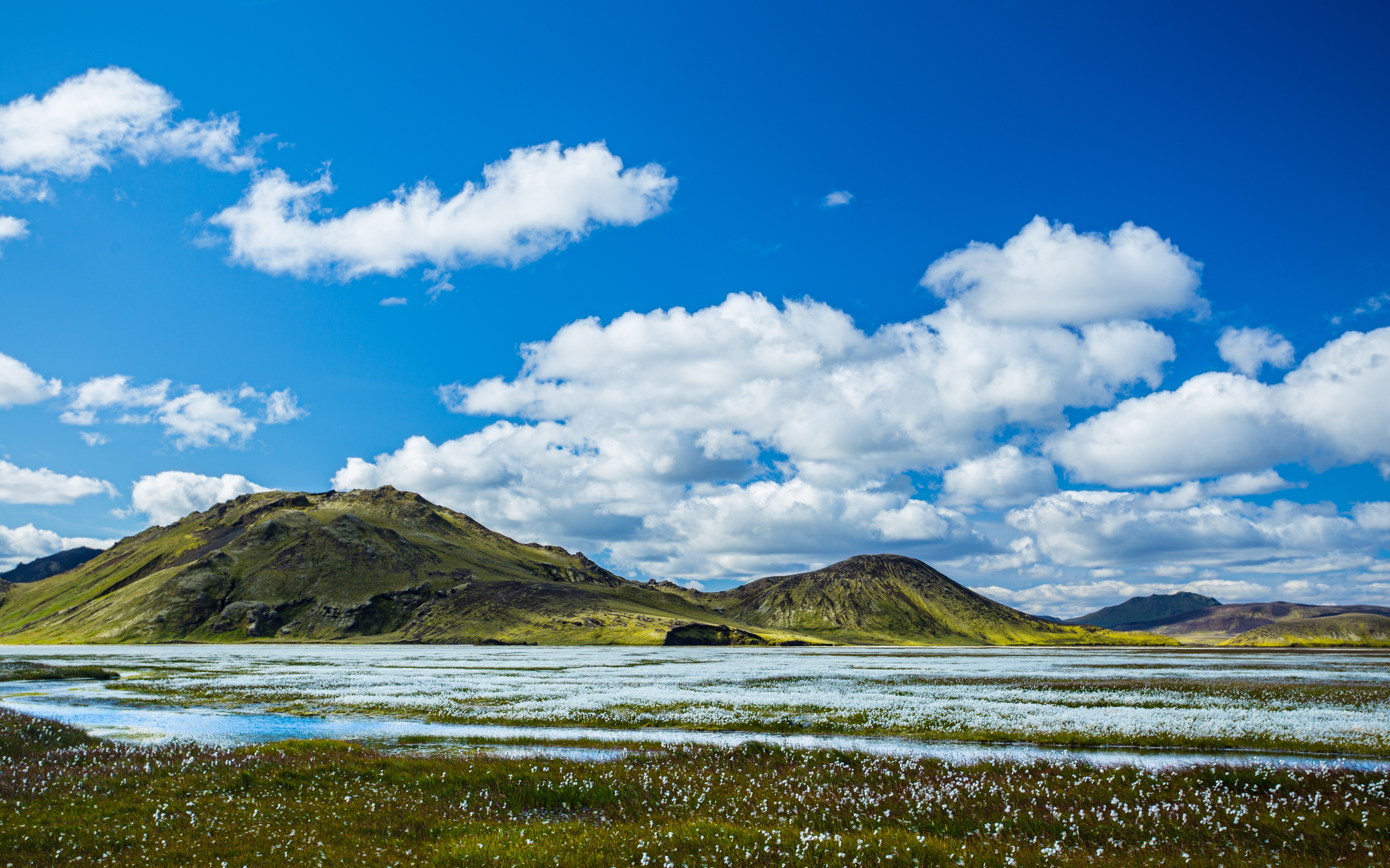 A white meadow by a mountain stream in Iceland.