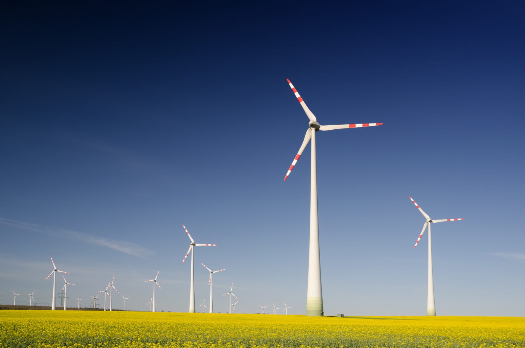 Wind turbines in a seed field located in Austria.