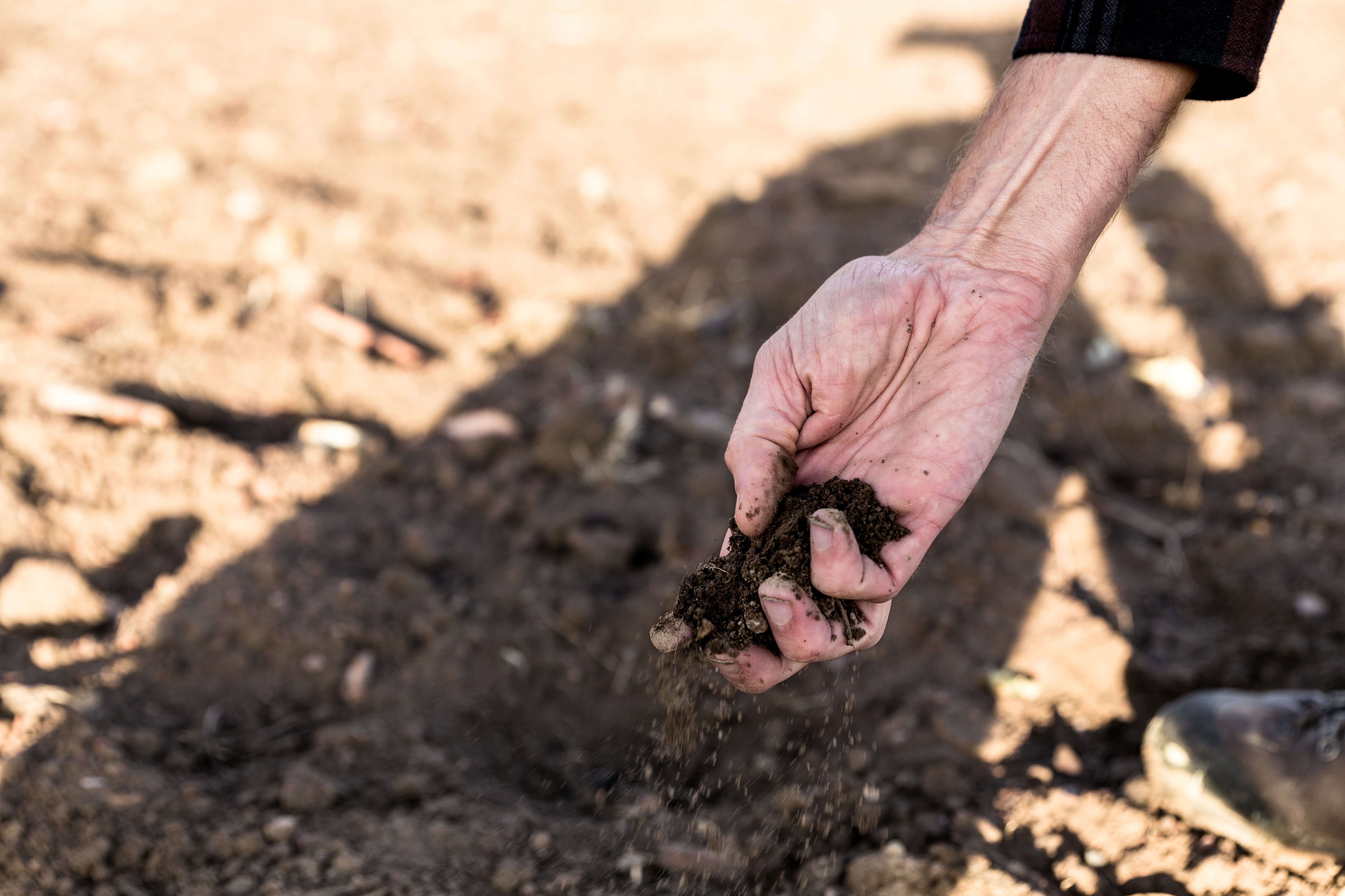 A hand holding a fistful of soil, with dry farmland in the background.