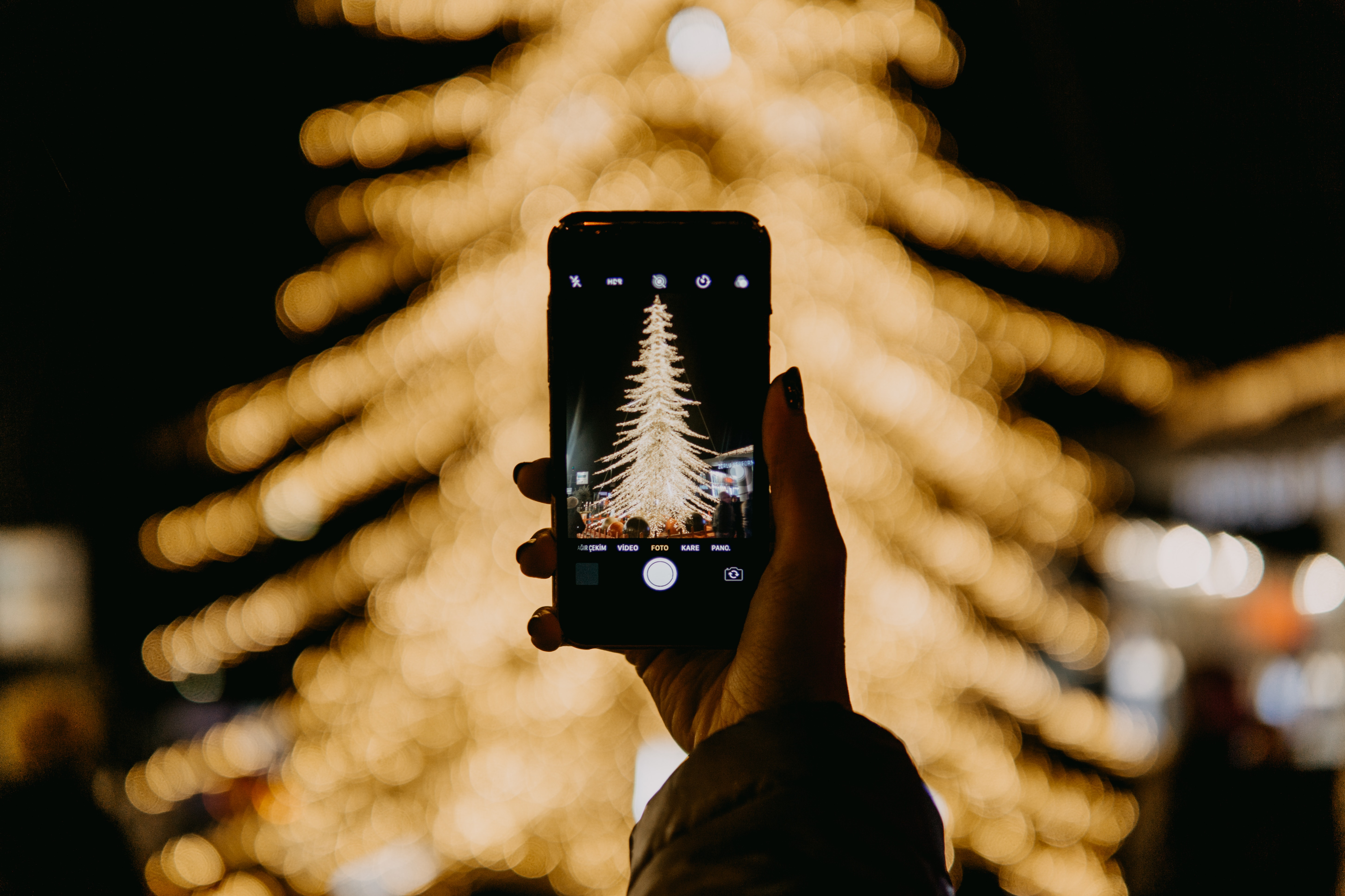 A person holding up a phone to take a photo of a Christmas tree with yellow lights.
