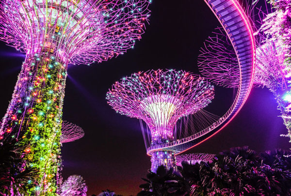 The supertree grove at Gardens by the Bay, Singapore.