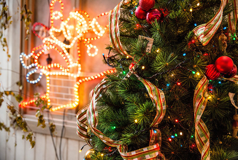 How to reduce your environmental impact this Christmas | disruptr