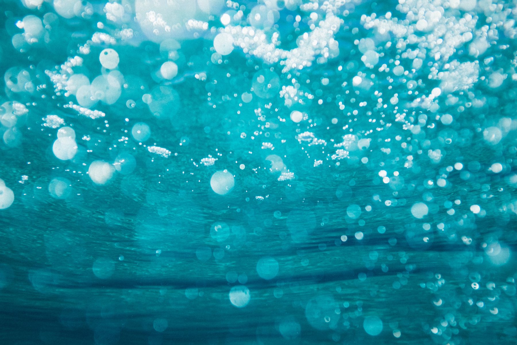 An underwater photo with bubbles around.