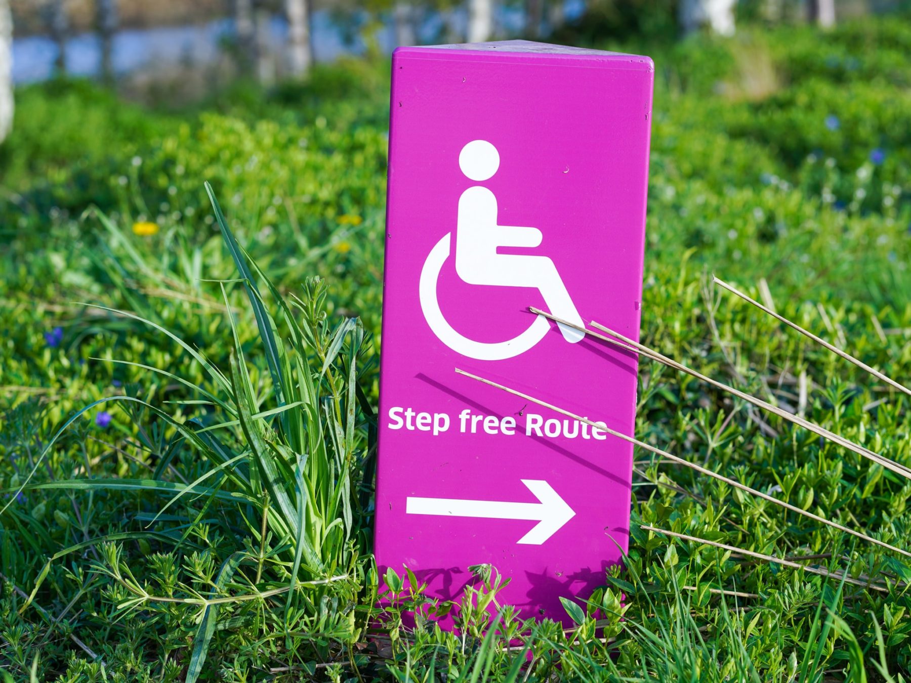 A pink sign on some grass with the words 'step free route' on it.