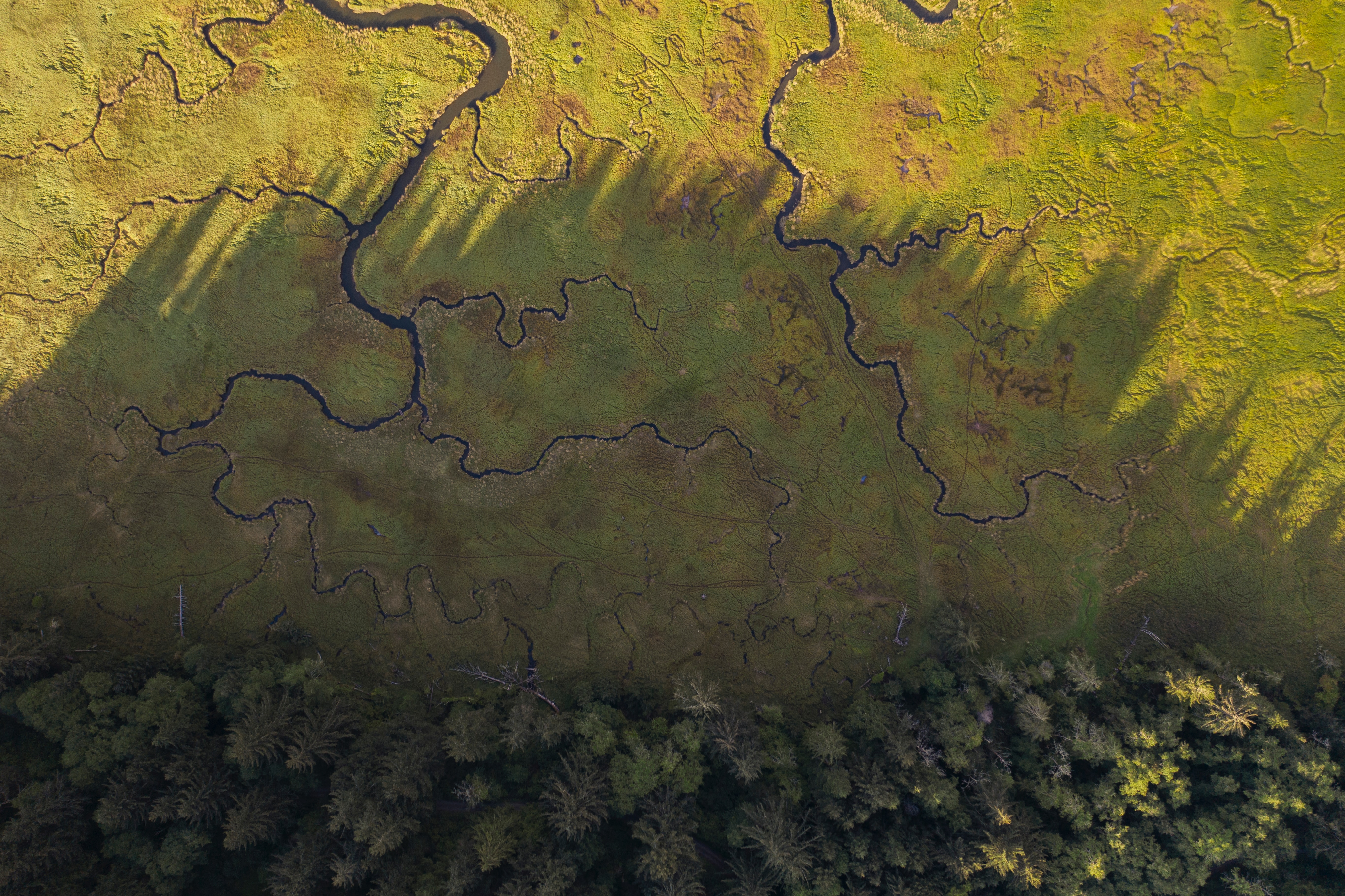 An aerial image of coastal wetlands are located a few miles north of Lincoln City, Oregon.