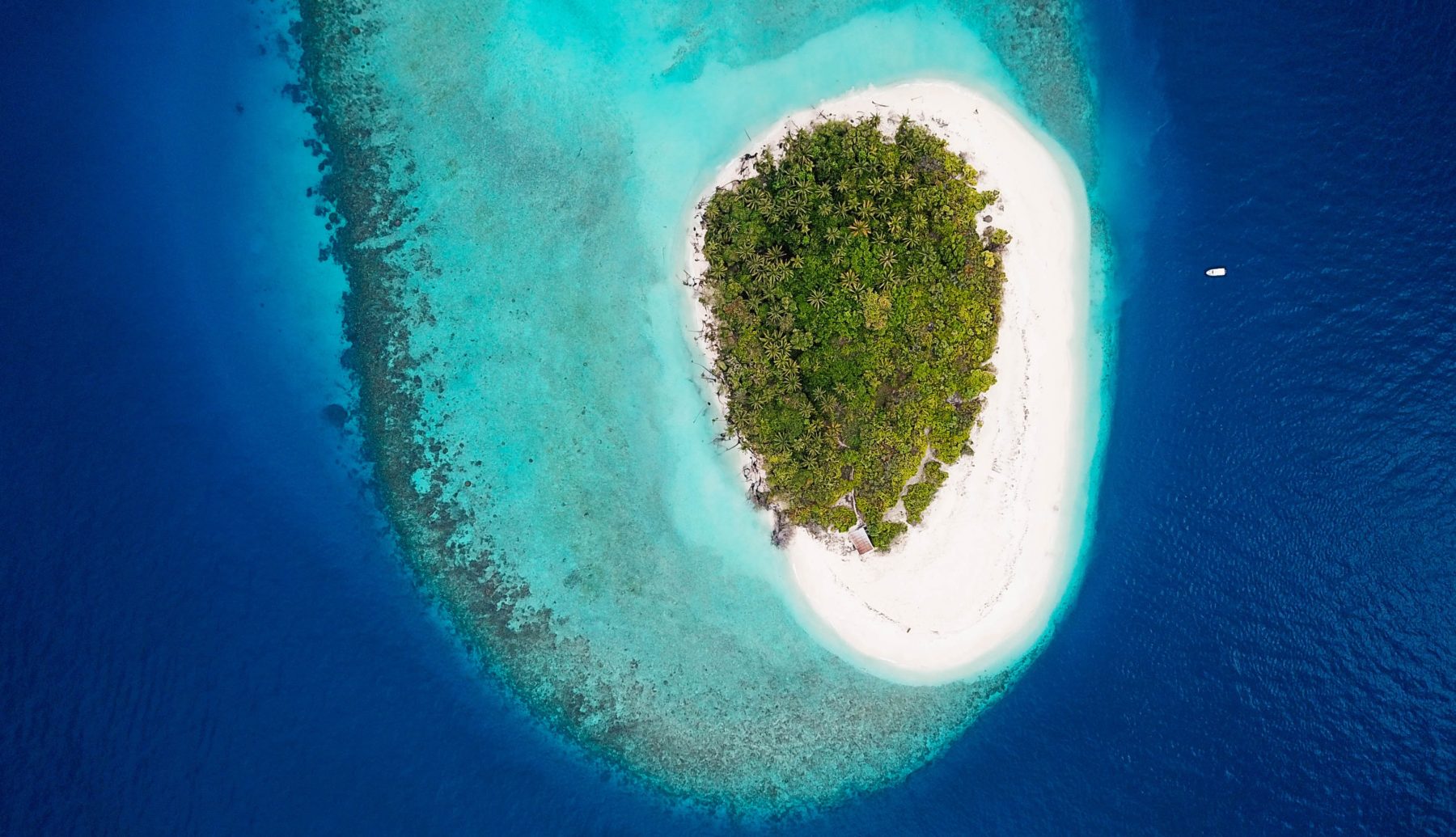A small uninhabited Island in Baa Atoll, Maldives.