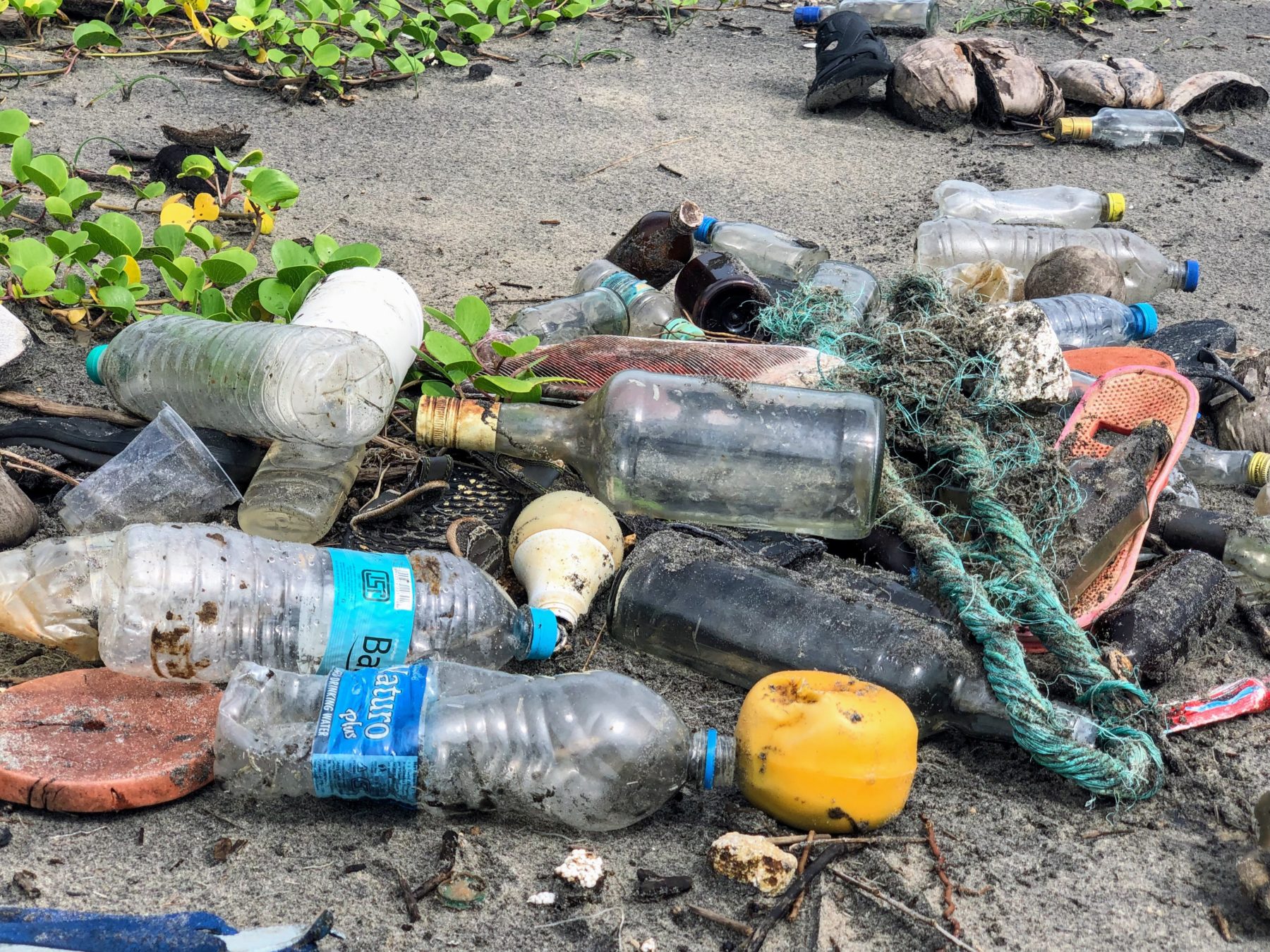 Image of plastic bottles washed up onto shore 