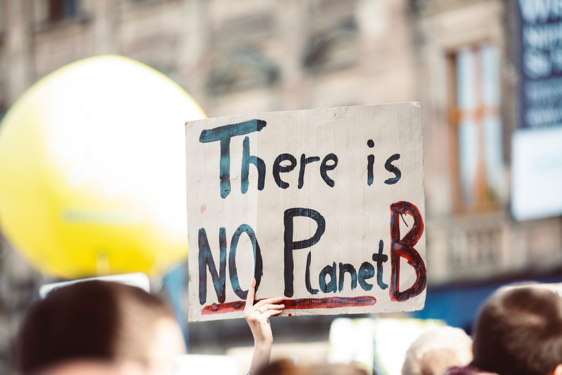 Image of a sign at a protest: there is no planet b
