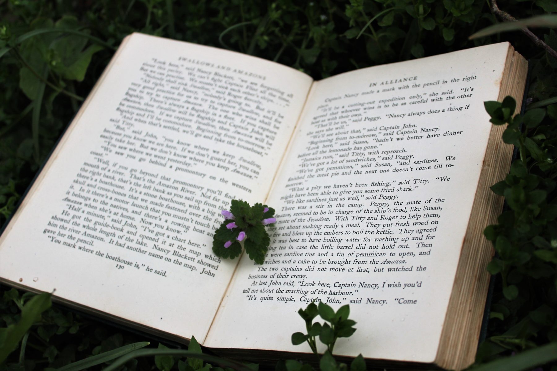 Image of an open book nestled in a flowerbed
