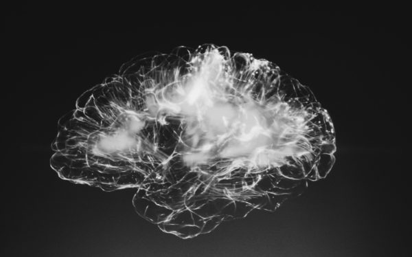 Image of a brain