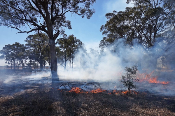 A djandak wi (“Country fire” or “healthy fire”) burn on Dja Dja Wurrung Country, Victoria, in April 2018. Photo courtesy of Timothy Neale