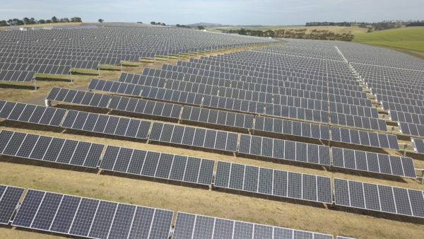 Image of Deakin's microgram. Several solar panels lie in rows on dry grass