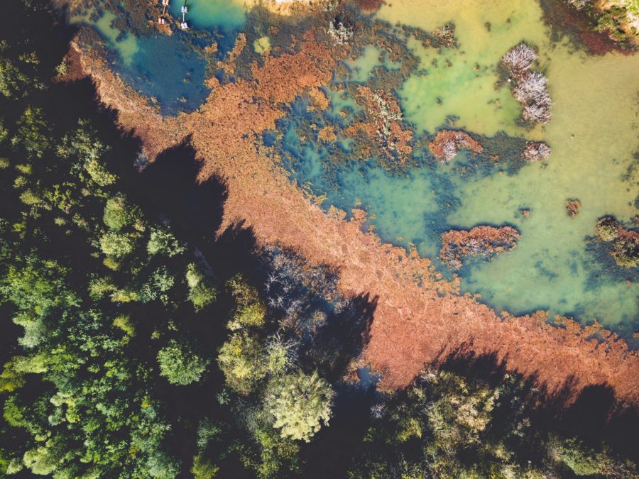 A bird's eye view of a wetland. The blue green water collects in puddles on dusty red earth towards the right, and to theft is a thicket of green trees