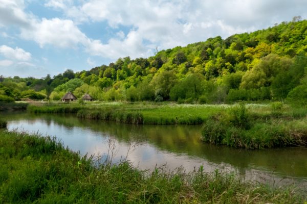 Image of a wetland. A river runs through the middle of the image, surrounded by grass and reeds. A green hill rises like a mossy wall in the background, set against a cloudy but blue sky