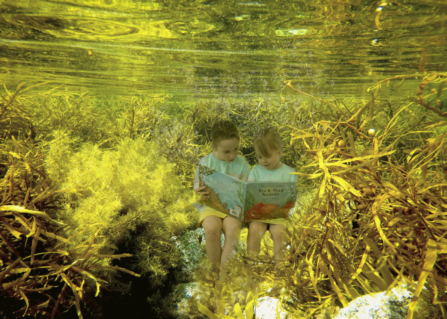 Two children sit underwater, reading a picture book. They are surrounded by seaweed